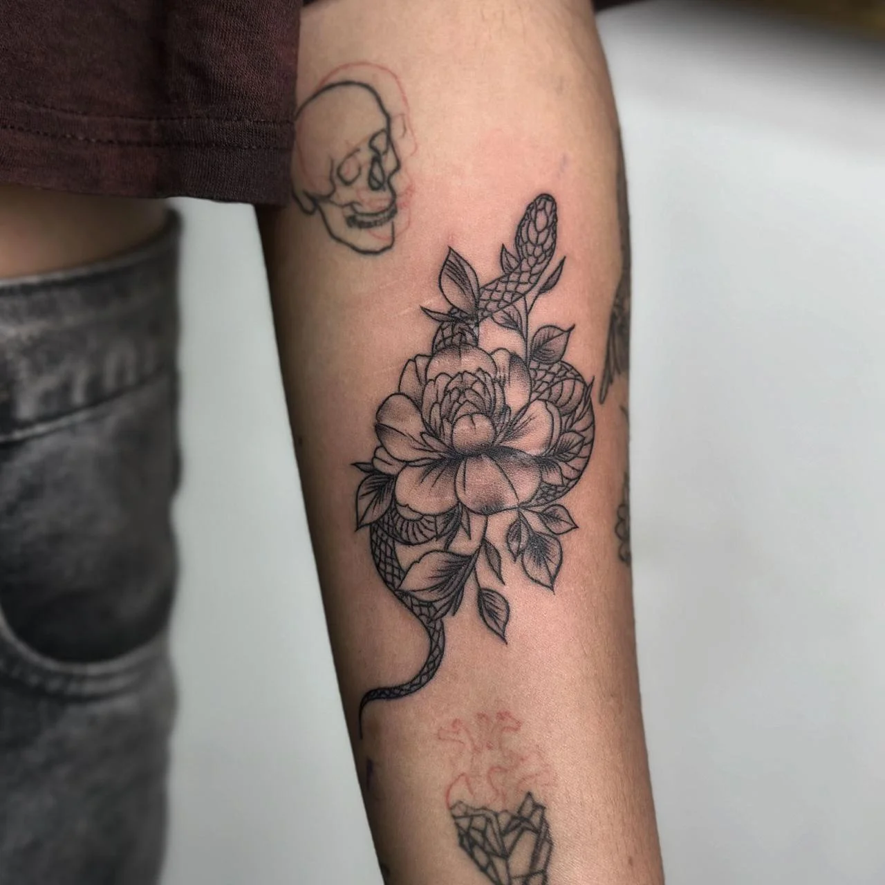 Snake Flower