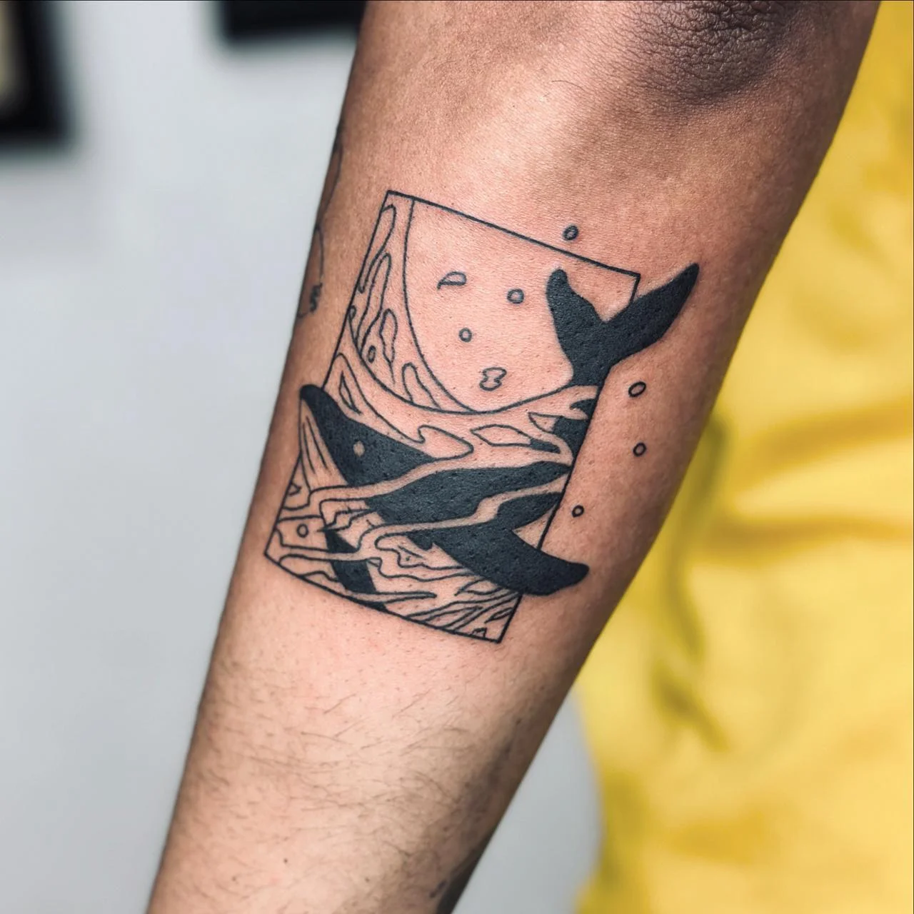 Whale Animal