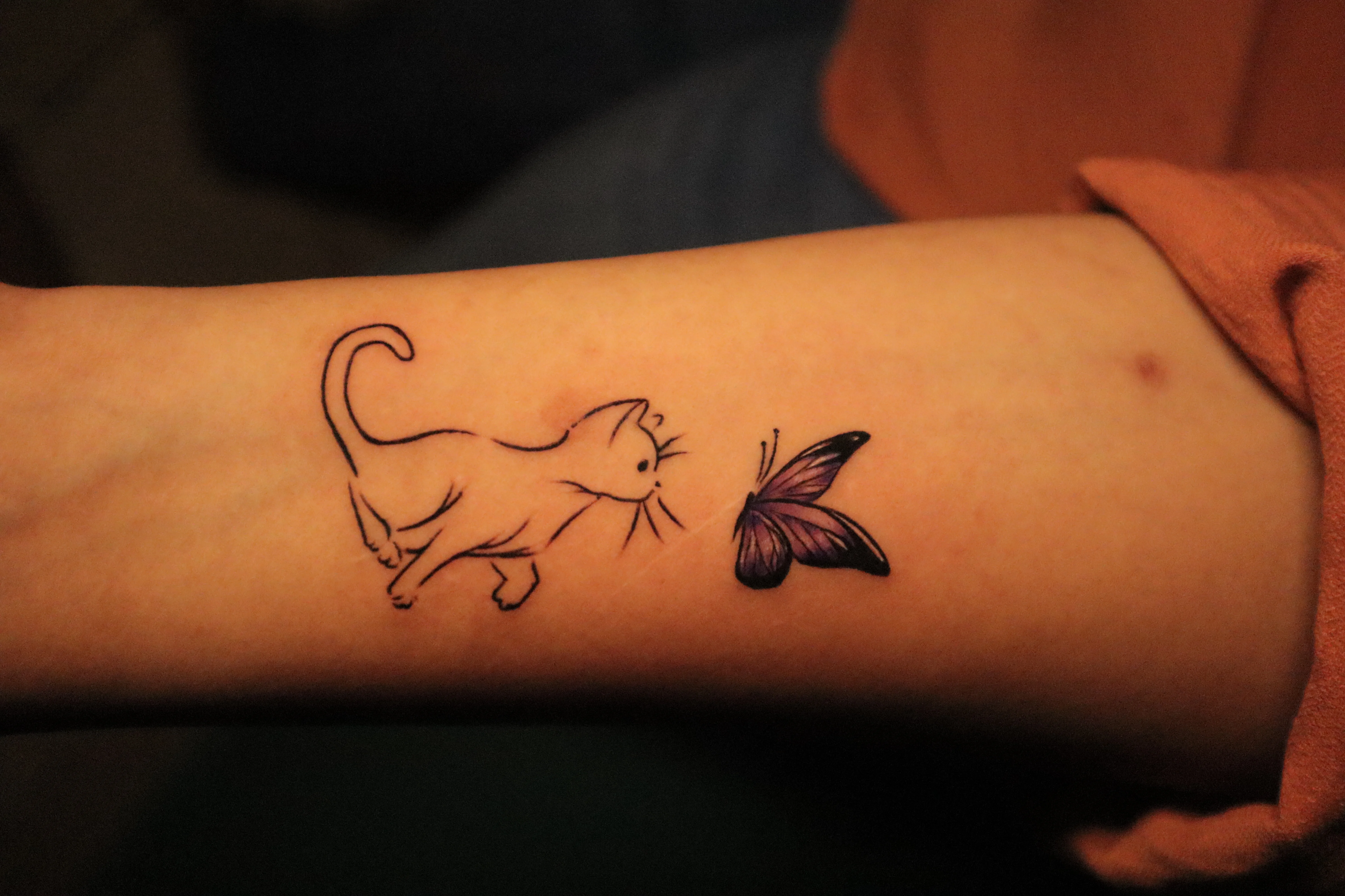 Cat Butterfly