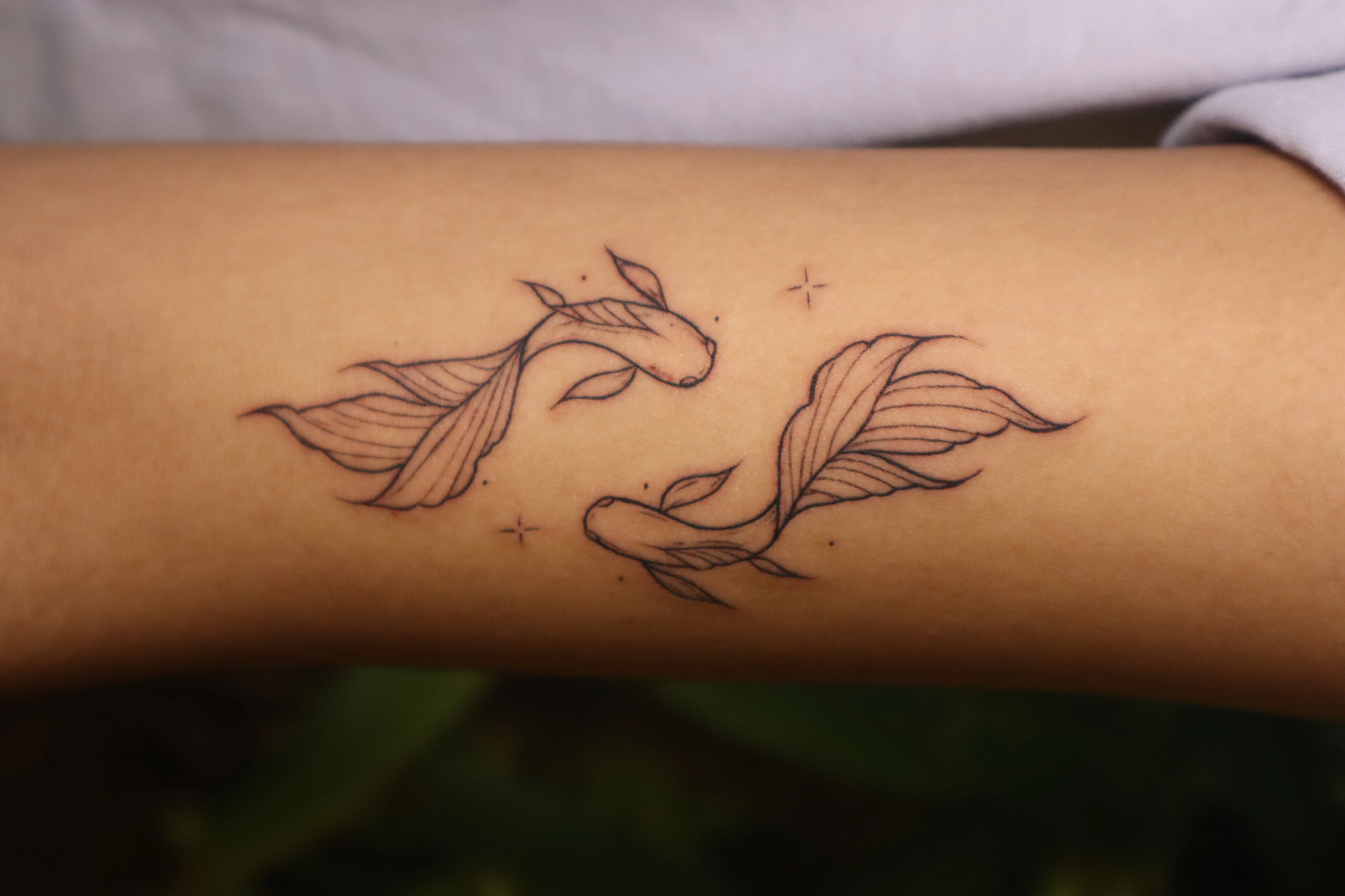 Small Fish