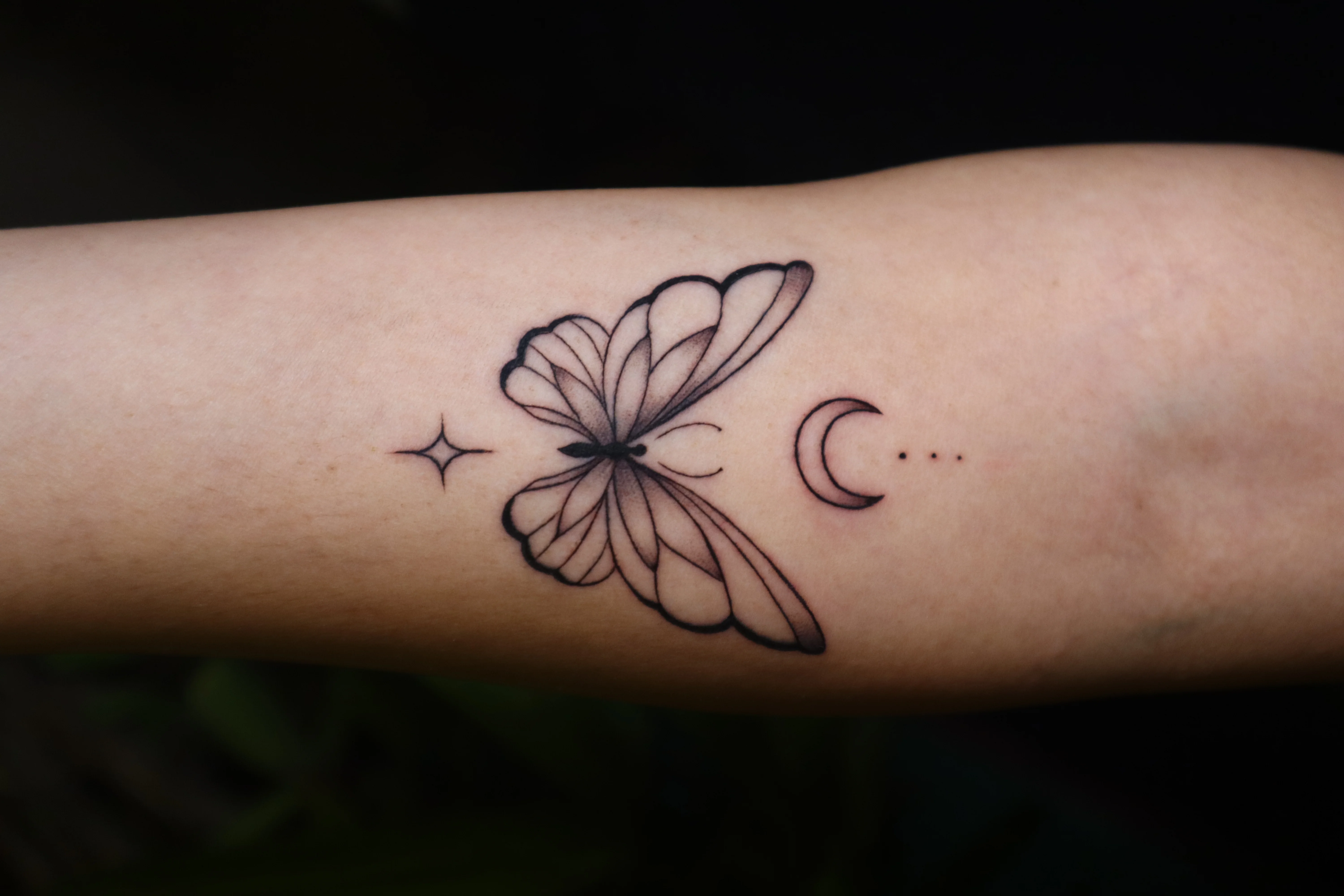 Line Butterfly