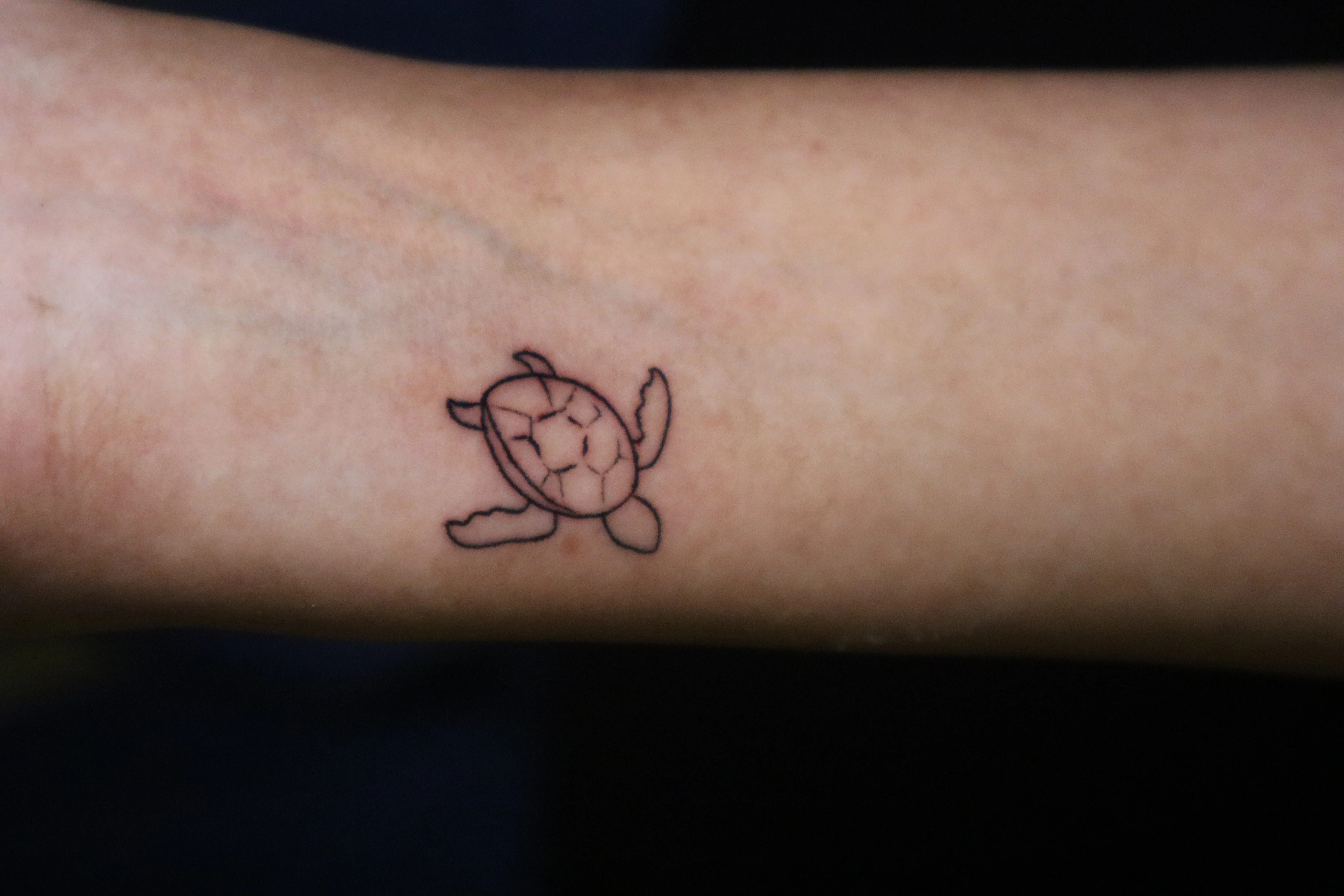 Minimal Tortoise